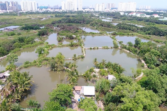 Quốc Cường Gia Lai muốn bán công ty con để trả nợ liên quan bà Trương Mỹ Lan