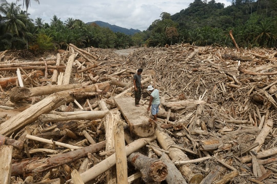 Nạn phá rừng biến nước lũ thành 'bão đạn' ở Indonesia