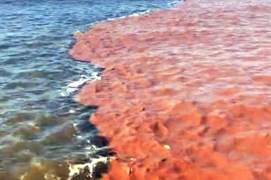 Nước biển xuất hiện hai màu kéo dài hàng chục km
