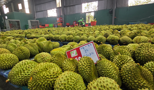 Xuất khẩu nông, lâm, thủy sản sớm về đích