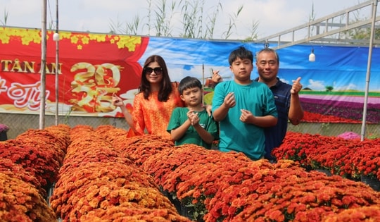 Nhiều tuyến du lịch trải nghiệm phục vụ du khách đến Festival Hoa - Kiểng Sa Đéc