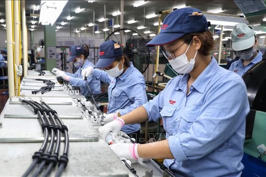 Giải ngân vốn FDI 11 tháng năm 2025 đạt 23,6 tỷ USD