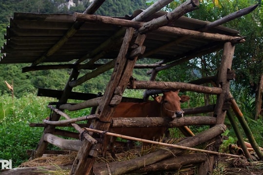 Nâng cao năng lực cán bộ làm công tác giảm nghèo