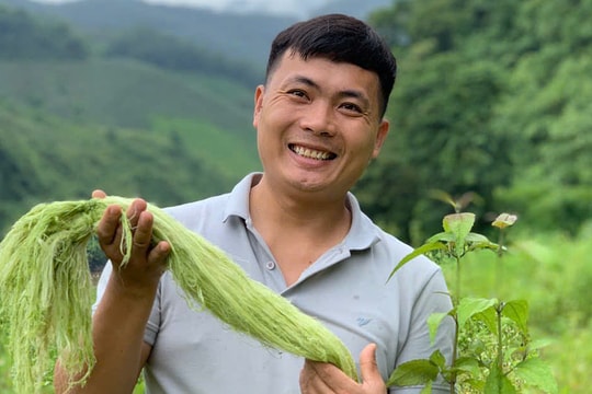 Kỹ sư bỏ việc ở Nhật, về quê biến rác thành vải lụa