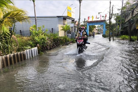 Vĩnh Long: Triều cường gây ngập ảnh hưởng đến đời sống, sản xuất của người dân