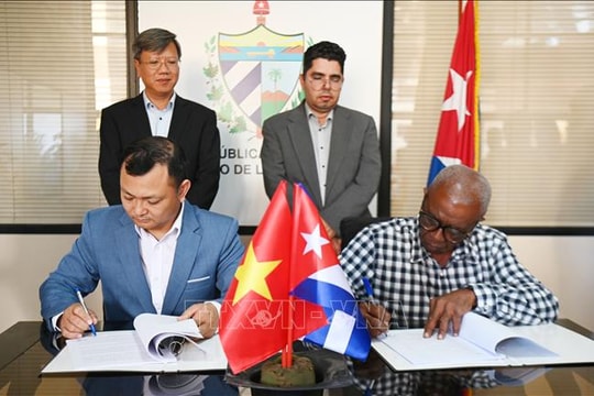 Doanh nghiệp Việt Nam đầu tư trồng điều ở Cuba