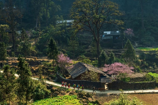 Cao nguyên đá Đồng Văn là 'Điểm đến văn hóa hàng đầu thế giới 2025'
