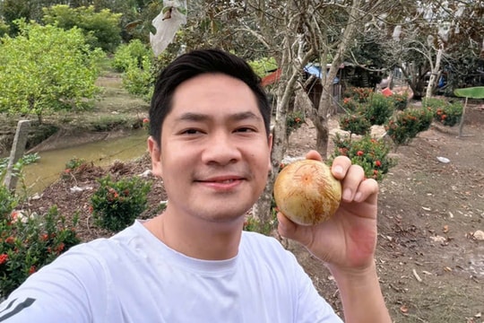 Minh Luân vui thú vườn tược