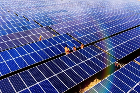 Bamboo Capital dự kiến có lãi trở lại từ 2028