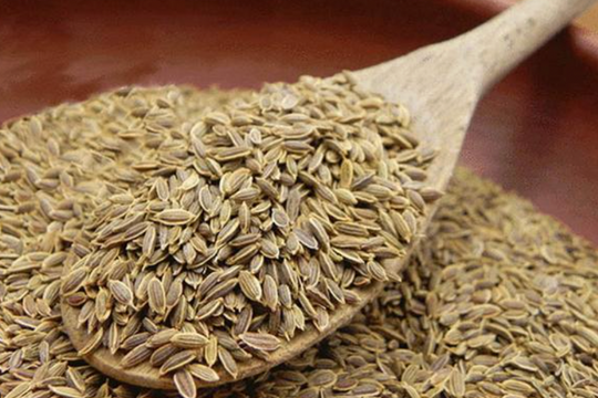 Lợi ích khi nhai hạt thì là sau bữa ăn