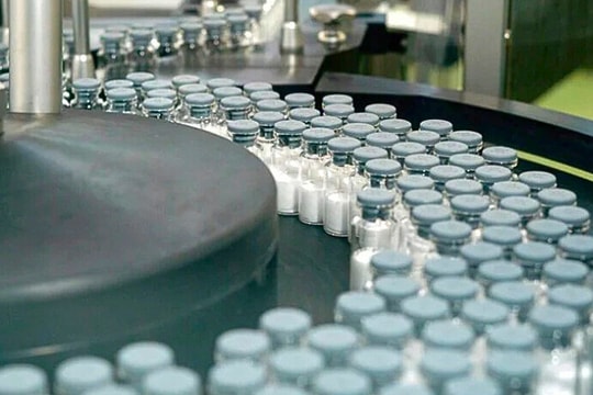 Vaccine mới hỗ trợ ngăn dịch sốt xuất huyết tại Brazil