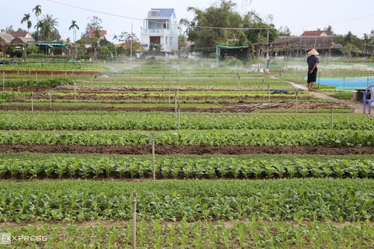 Bên thuê không trả mặt bằng đúng hạn, tôi có được phá để đuổi đi?