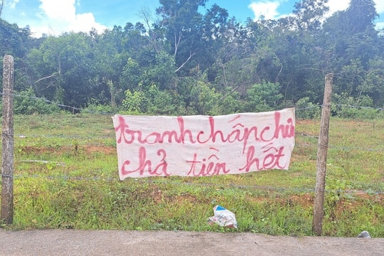 Bị bắt vì giúp doanh nghiệp làm dự án 'ma' trên đảo Phú Quốc