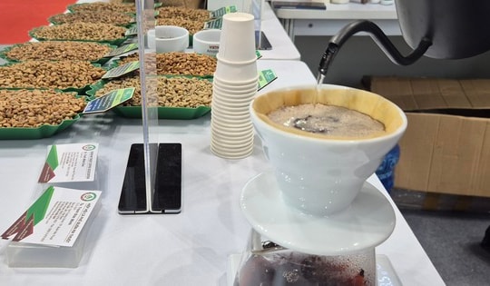 Giá cà phê hôm nay 7-12: Người Việt uống cà phê còn ít