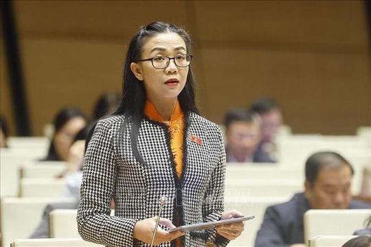 Vai trò dẫn dắt và giám sát của Nhà nước khi phát triển điện hạt nhân mô-đun nhỏ