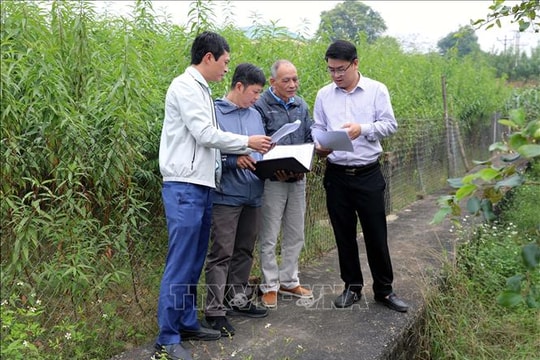 Phú Thọ gỡ khó bảo đảm tiến độ giải phóng mặt bằng tuyến đường sắt tỷ USD