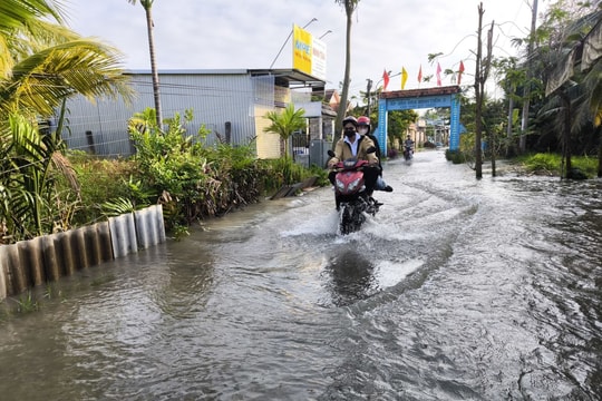 Triều cường vùng ven biển Bắc Bộ ở mức cao