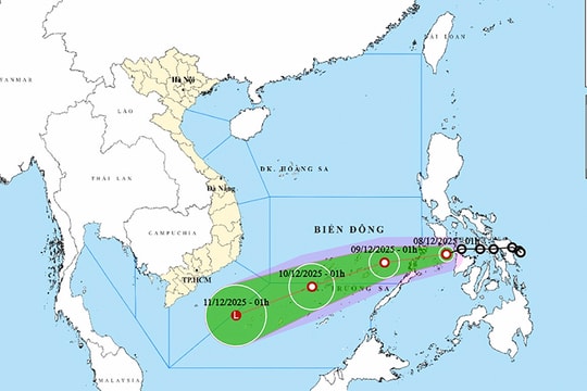 Thời tiết ngày 8/12: Áp thấp tiến vào Biển Đông, gió mạnh gây biển động trên diện rộng