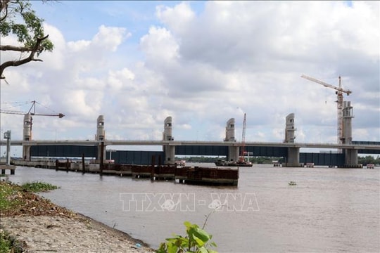 Cảnh báo ngập lụt do triều cường khu vực sông Cái Lớn, Cái Bé và hạ lưu sông Hậu