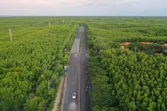 TP HCM giao Vingroup đầu tư metro Bến Thành - Cần Giờ