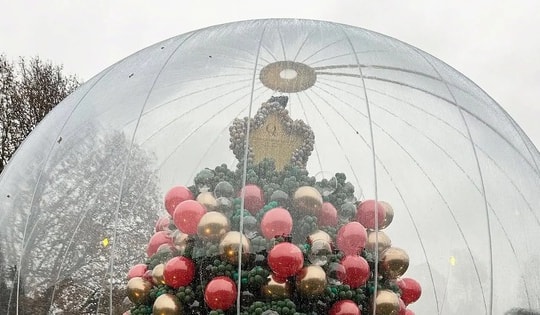 Cây thông kỳ lạ bậc nhất mùa Giáng sinh năm nay ở Anh