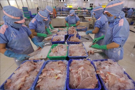Xuất khẩu thuỷ sản có thể lập kỷ lục mới trong năm 2025