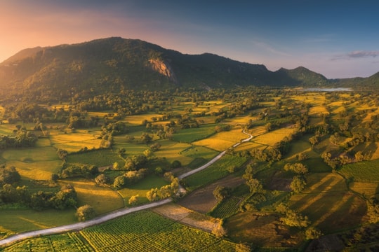 Mùa lúa chín trên thung lũng Tà Pạ