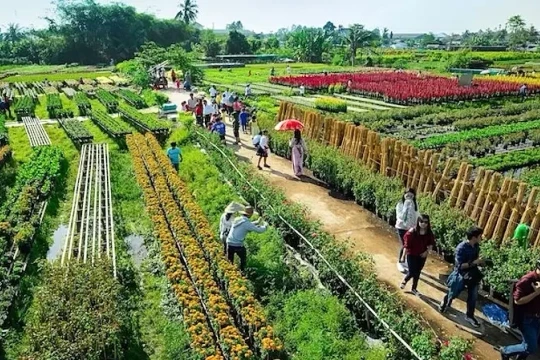 Chuẩn hóa tiêu chí xanh để định vị lại du lịch nông thôn