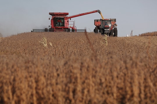 Ông Trump sắp tung 12 tỷ USD giải cứu nông dân Mỹ