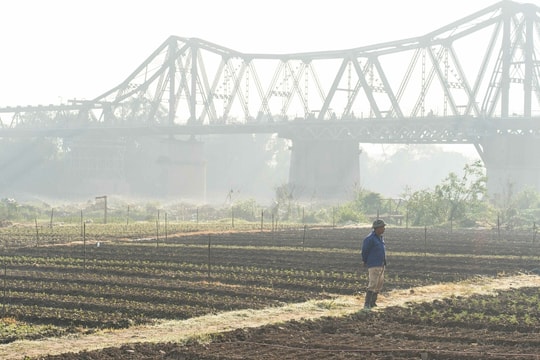 Nguy cơ mắc bệnh hô hấp khi ô nhiễm không khí