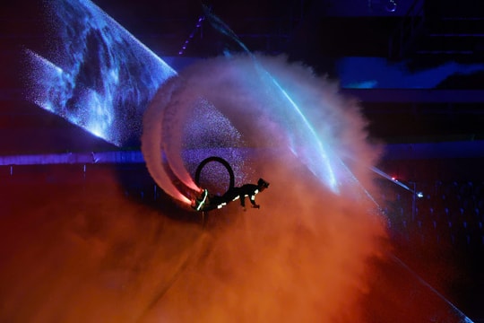 Sắc màu truyền thống và hiện đại trong lễ khai mạc SEA Games 33