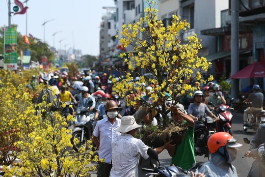 Hạn cuối doanh nghiệp công bố lịch nghỉ Tết Âm lịch 2026 là khi nào?