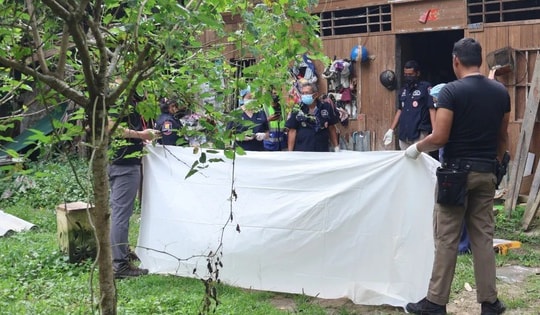 Bi kịch từ đàn khỉ hoang: Một người thiệt mạng, cả làng náo loạn