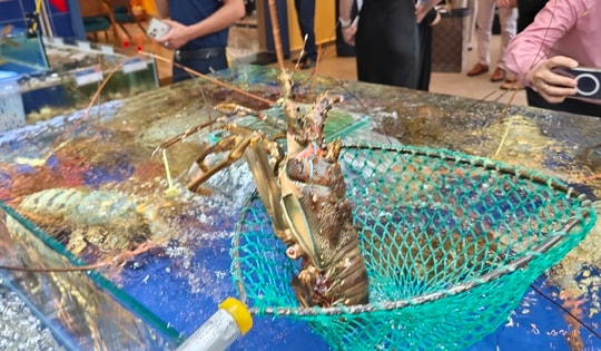 Xuất khẩu tôm lập kỷ lục