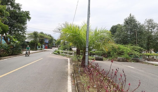 Độc lạ Đà Nẵng: Đường "cong mềm mại" vì ngôi nhà án ngữ ngay giữa đường