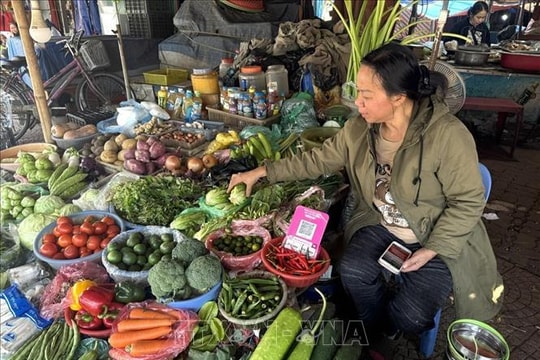 Giá rau xanh hạ nhiệt