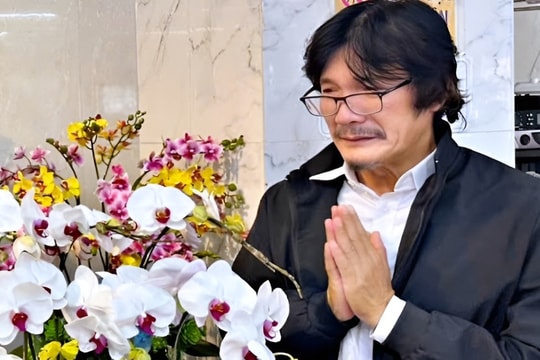 Đồng nghiệp tưởng nhớ Ngọc Trinh 'Mùi ngò gai'