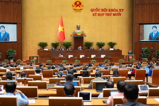 Người nghiện phải khai báo thông tin chất ma túy đã sử dụng