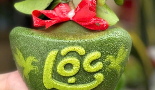 Bất ngờ về thị trường trái cây độc lạ chưng Tết 2026