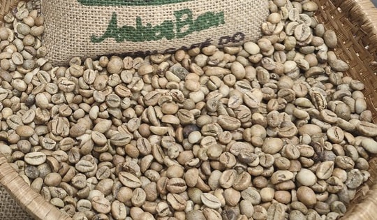 Giá cà phê hôm nay 10-12: Cắt mạch giảm sau 6 phiên