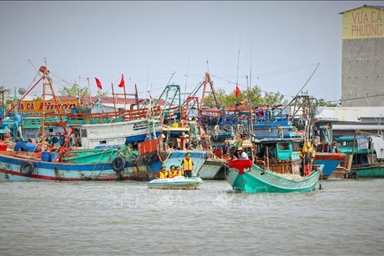Khắc phục 'thẻ vàng' IUU: Ngư dân chuyển biến mạnh về nhận thức và hành động