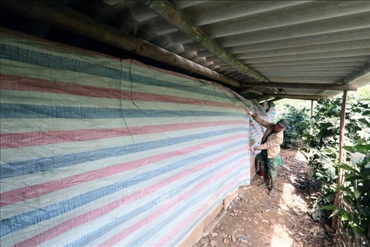 Các tỉnh, thành phố chủ động ứng phó với mưa lớn, rét đậm, rét hại