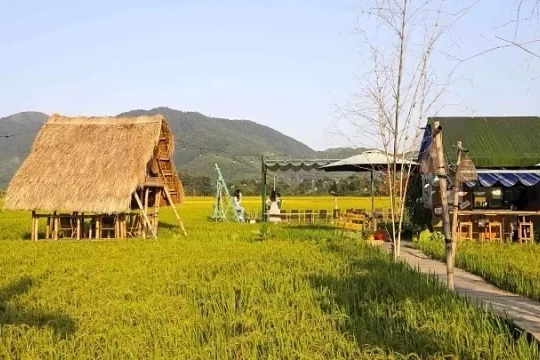 Đà Nẵng hình thành 60 mô hình du lịch nông thôn sau sáp nhập