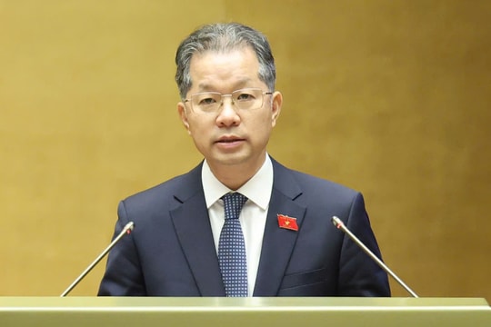 Tòa chuyên biệt ở Việt Nam có thể thuê thẩm phán người nước ngoài