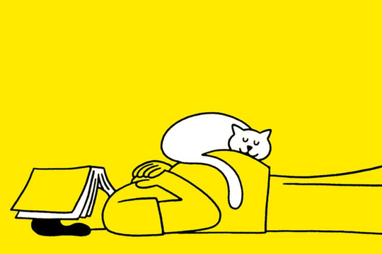 Một giấc ngủ trưa 20 phút có thể giúp bạn sống thọ hơn