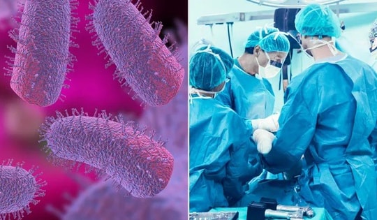 Người đàn ông tử vong sau khi được ghép thận từ người nhiễm bệnh dại