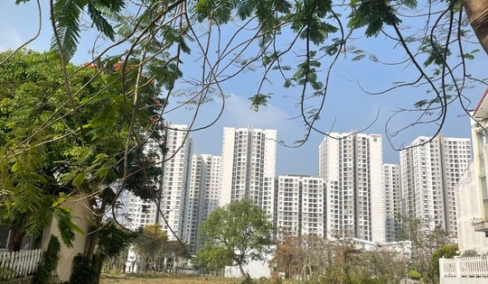 Người trẻ vẫn quyết tâm mua nhà dù giá cao kỷ lục