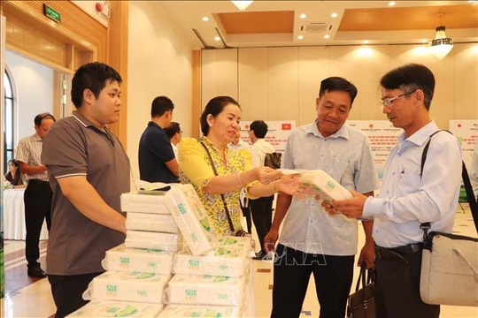 Xúc tiến đầu tư, hợp tác công nghệ với Nhật Bản trong phát triển vùng lúa chất lượng cao