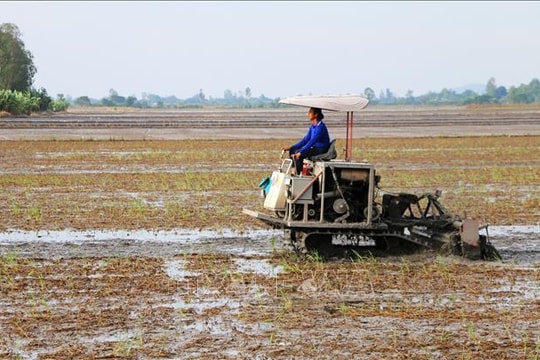An Giang dành hơn 38 tỷ đồng hỗ trợ nông dân sản xuất lúa chất lượng cao