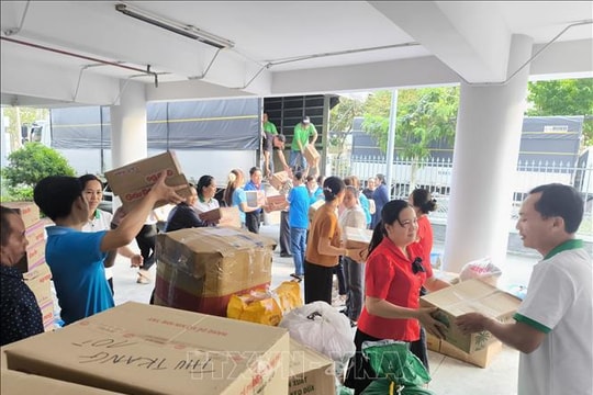 Nhật Bản, Brazil hỗ trợ Việt Nam khắc phục hậu quả bão lũ